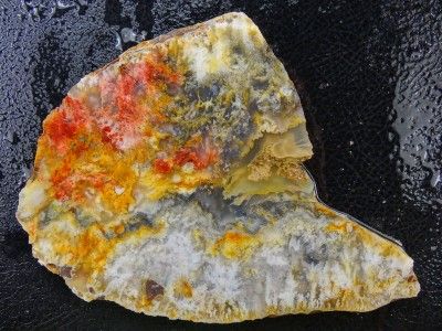 NA Knockout Regency Rose Graveyard Point Plume Agate Slab 218grams