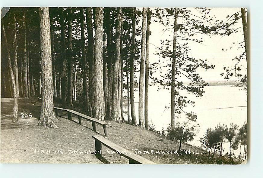 5883 RPPC Tomahawk, Wisconsin WI View in Bradley Park Water Lake