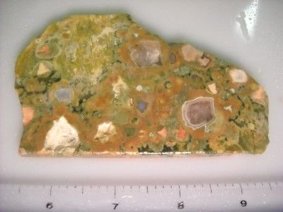 Loveland Rain Forest Jasper from Australia