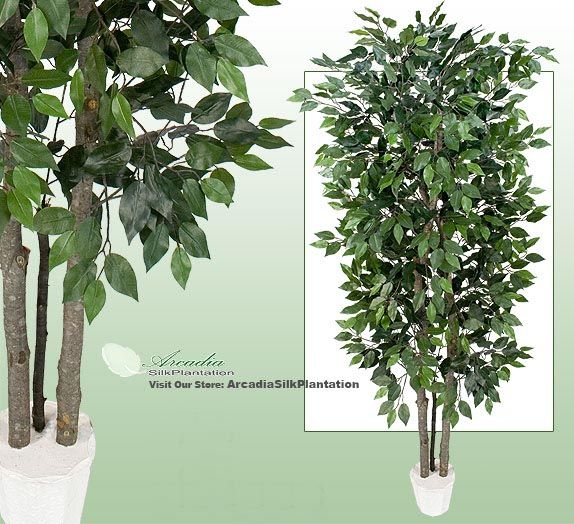 Potted Ficus Magnolia Real Wood Artificial Trees WH