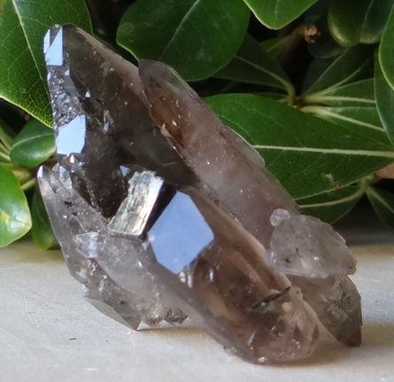 Smoky Quartz with Aegerine Specimen from Malawi