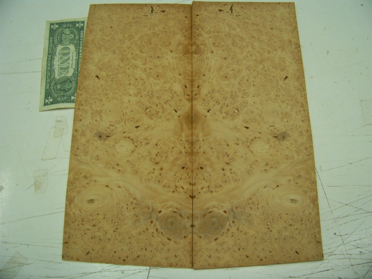 1204 Maple Burl Veneer 5 Sqft