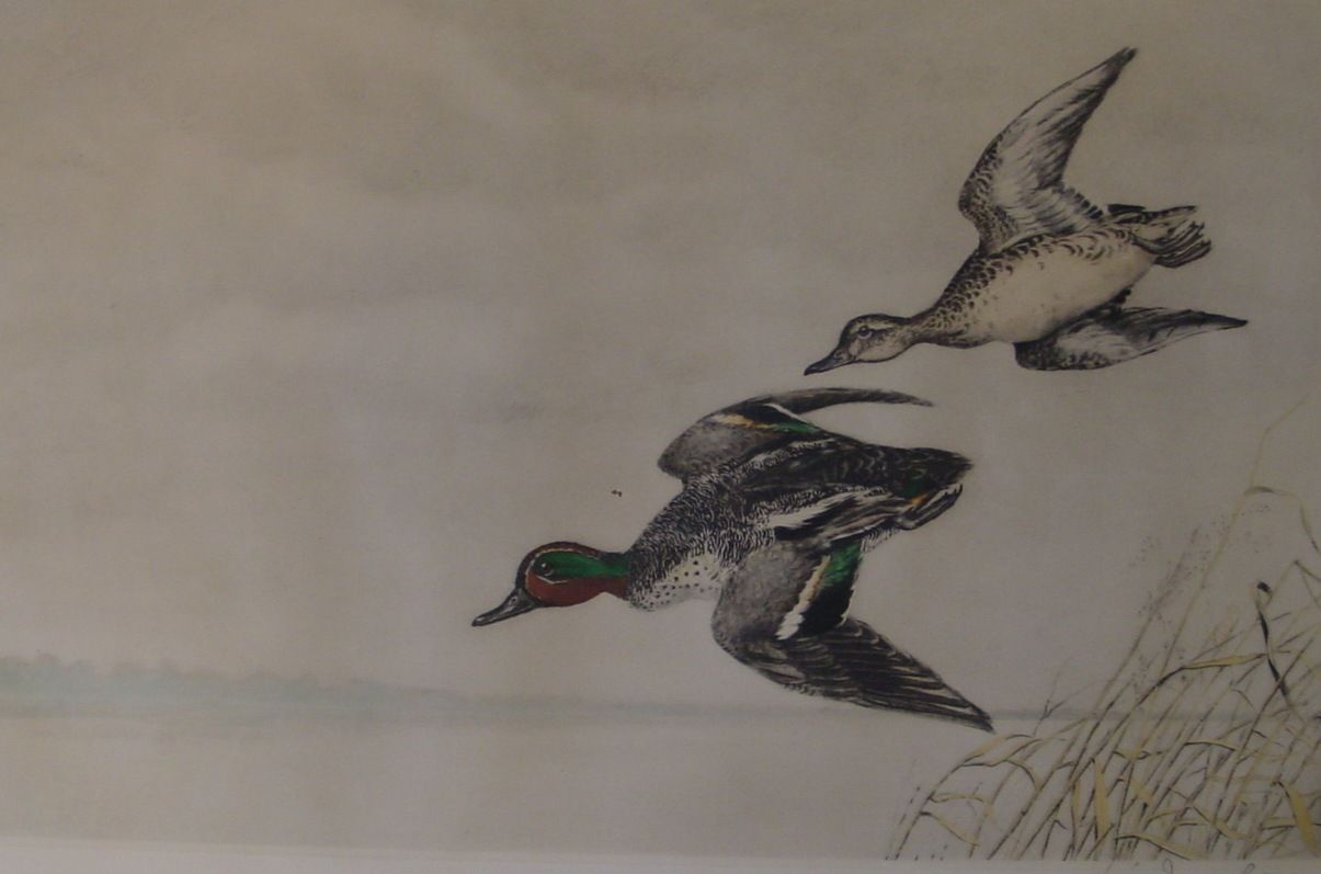 Leon Danchin Drake and Hen Mallard Etching in Colors Signed in Pencil