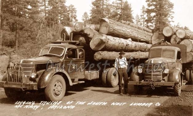 Logging Trucks MC Nary Arizona AZ Log Truck Loggers Photo