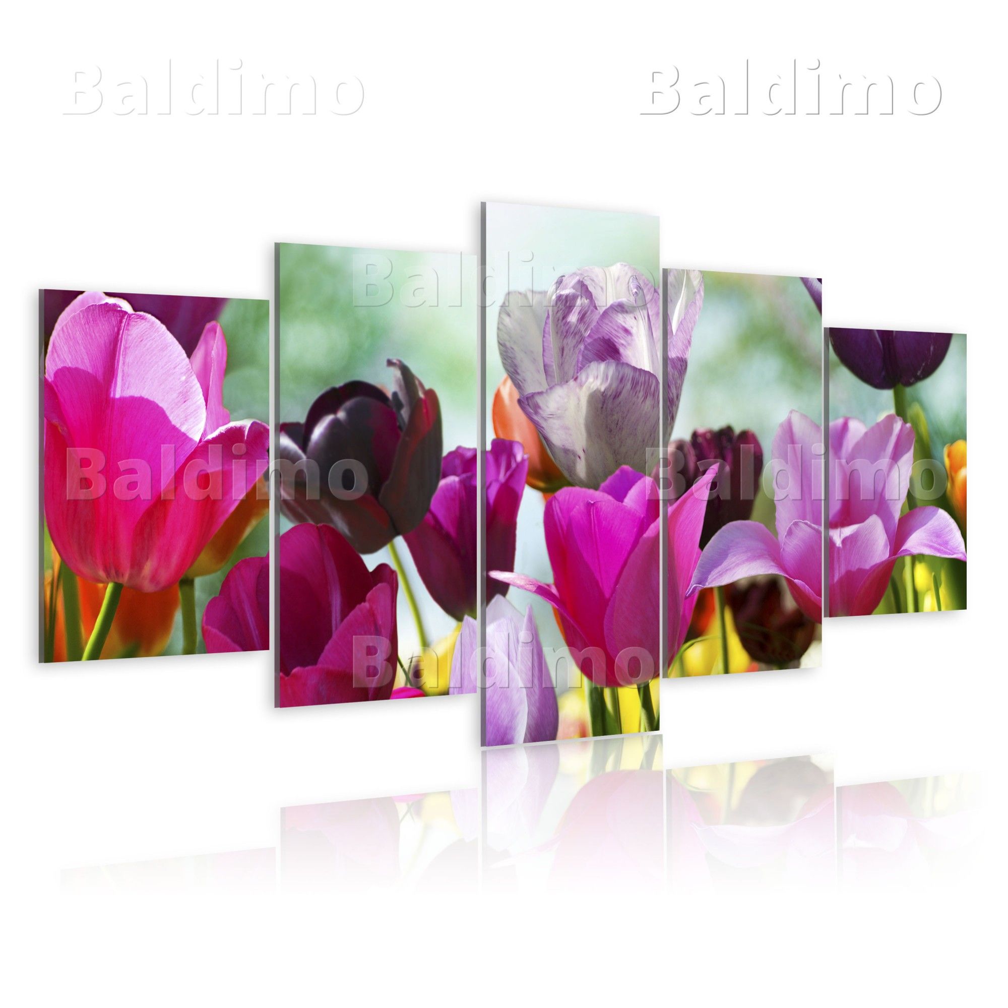 LEINWAND BILDER + AUFGESPANNT + 5 TEILIG +Blumen+ 200x100 030210 25_DK