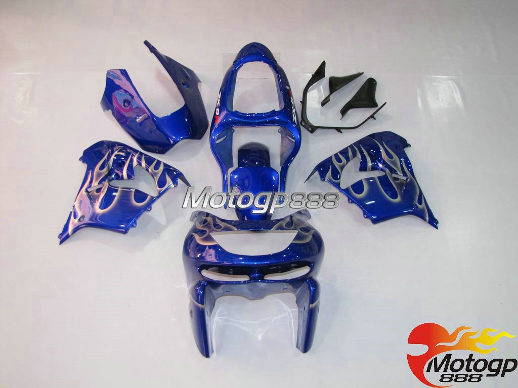 Kawasaki ZX9R Ninja ZX 9R 1998 1999 98 99 Verkleidung Fairing Motogp