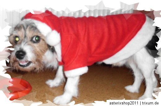 Hundemantel Santa Claus S M L XL XXL Weihnachtsmantel Nikolaus