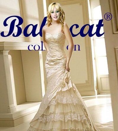 B239 Brautkleid Hochzeitskleid Ballkleid Abendkleid Champagner Farbe