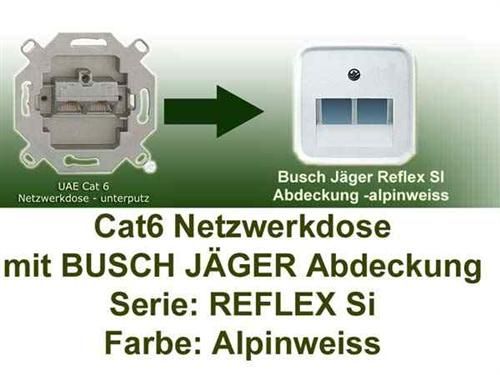 Cat6 Netzwerkdose mit Busch Jaeger Abdeckung unterputz alpinweiss
