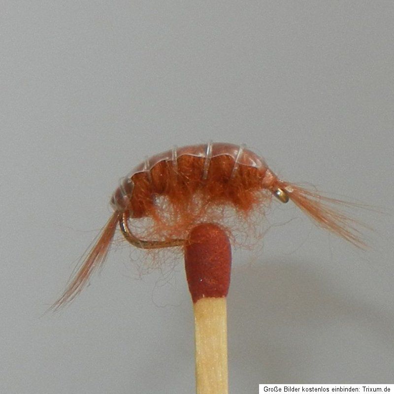 12 beschwerte Bachflohkrebse, Bachflohkrebs, Shrimp Nymphen, Fliegen