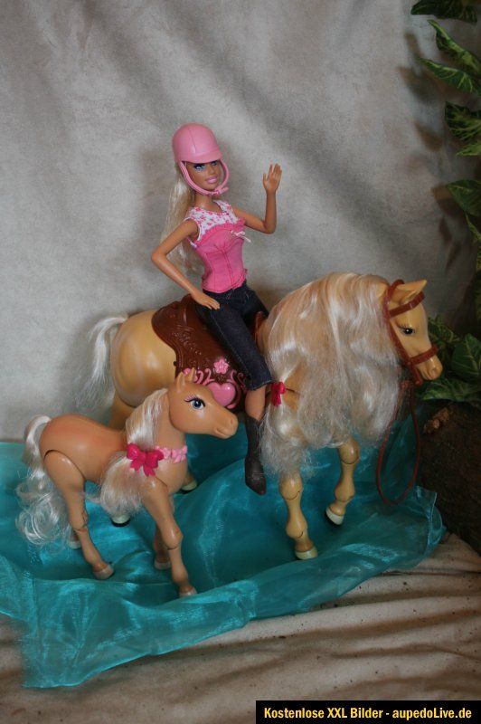 Barbie Reiterin mit pferd Tawny,und Fohlen