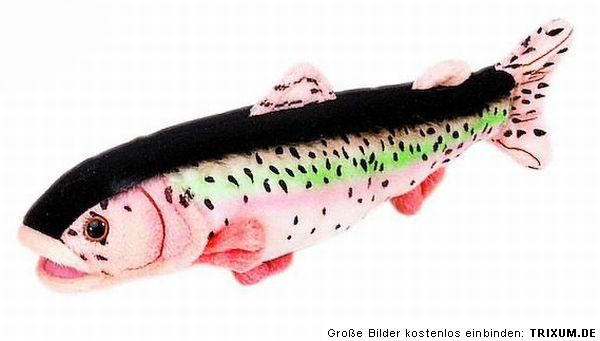 Neuware Fa. Bauer Fisch Regenbogenforelle 25cm