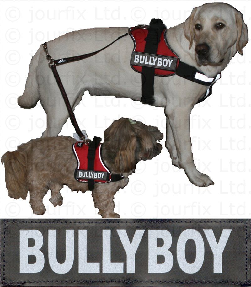 BULLYBOY 1 x Logo groß weiß für Julius K9® Power IDC TPP Gurtband