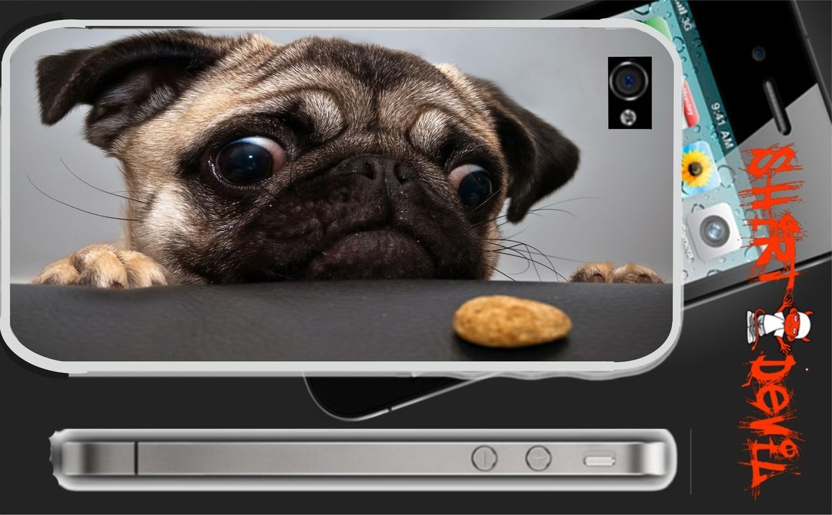 Mops   Pug Version 4 / iPhone 4 Sticker Skin Handy Folie